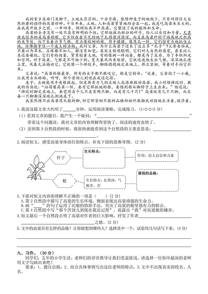 广东省韶关地区2024～2025学年五年级上学期期中课堂观测语文试题（有答案）03