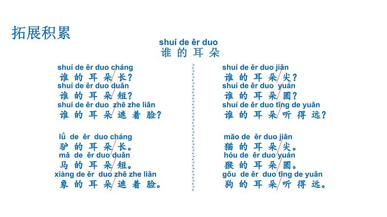 小学语文新部编版一年级上册第八单元《阅读》教材习题答案（2024秋）课件PPT第6页