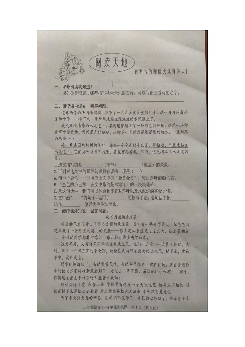 山东省泰安市肥城市2024-2025学年三年级上学期期中语文试卷03