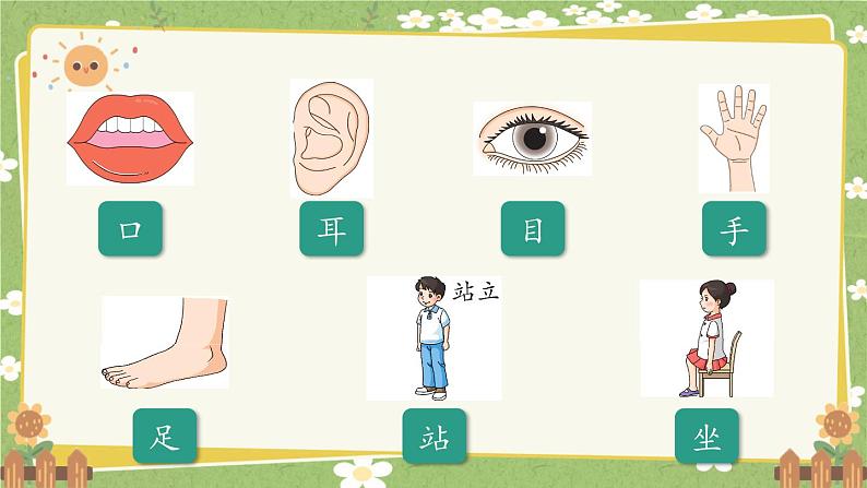 2024秋统编版语文一年级上册 识字3《口耳目手足》课件第4页