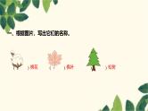 部编版语文(2024秋)二年级上册第二单元-识字2 树之歌课件
