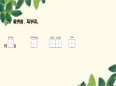 部编版语文(2024秋)二年级上册第二单元-识字2 树之歌课件