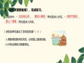 部编版语文(2024秋)二年级上册第二单元-8.古诗二首课件