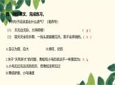 部编版语文语文(2024秋)二年级上册第五单元-12.坐井观天课件