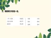 部编版语文(2024秋)二年级上册第六单元-17.难忘的泼水节课件