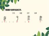 部编版语文(2024秋)二年级上册第七单元-第7单元素养提升课件