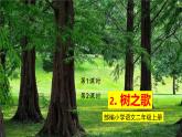 人教部编版语文(2024秋)二年级上册②树之歌课件