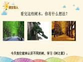 人教部编版语文(2024秋)二年级上册②树之歌课件