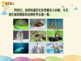 人教部编版语文(2024秋)二年级上册③拍手歌课件