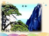 人教部编版语文(2024秋)二年级上册9.黄山奇石课件