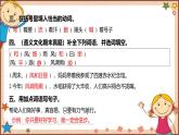 人教部编版语文(2024秋)二年级上册24.风娃娃课件