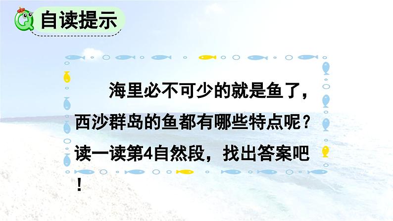 四川仁寿县大化镇小学2024三年级上册《富饶的西沙群岛》课件第4页