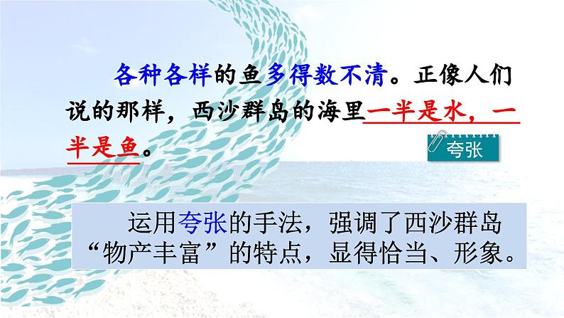 四川仁寿县大化镇小学2024三年级上册《富饶的西沙群岛》课件第8页