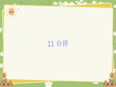 统编版语文四年级下册 11 白桦课件