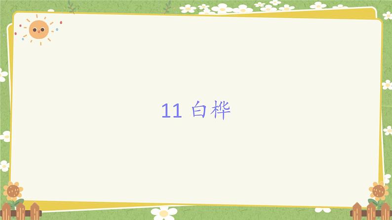 统编版语文四年级下册 11 白桦课件第1页