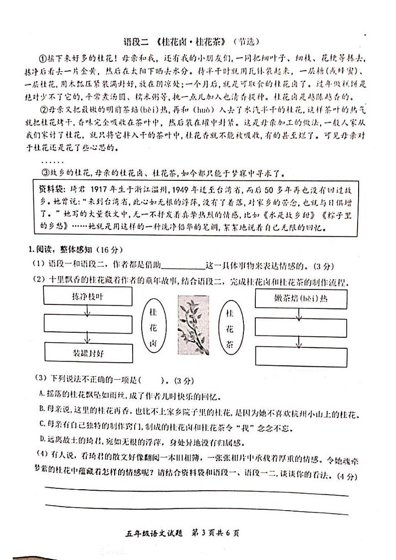 山东省枣庄市山亭区2024-2025学年五年级上学期11月期中语文试题03