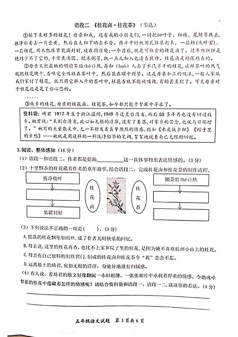 山东省枣庄市山亭区2024～2025学年五年级上学期11月期中语文试题（有答案）第3页