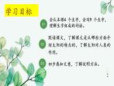 统编版语文五年级上册第16课《太阳》（课件）