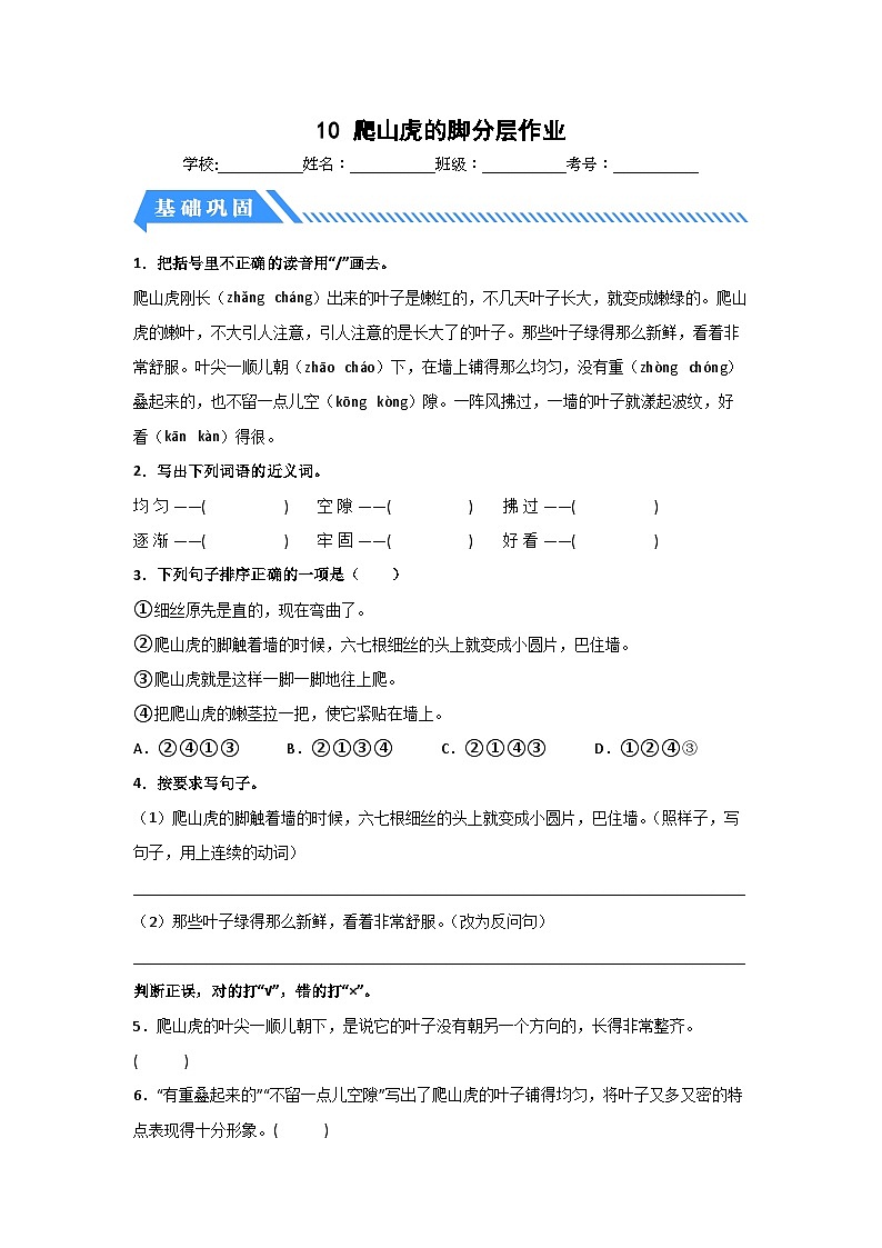 部编版小学四年级语文上册【分层作业】10 爬山虎的脚（课时练）（附答案）第1页