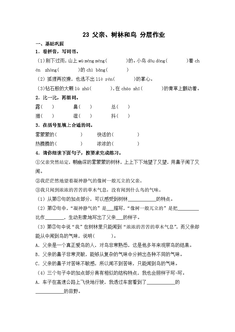 部编版三年级语文上册【分层作业】23 父亲、树林和鸟（课时练）  （含答案）01