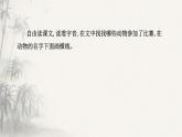 8《 比尾巴》課件 小學(xué)語文統(tǒng)編版一年級上冊