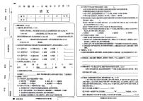 黑龙江省哈尔滨市呼兰区多校2024-2025学年六年级上学期期中语文试题