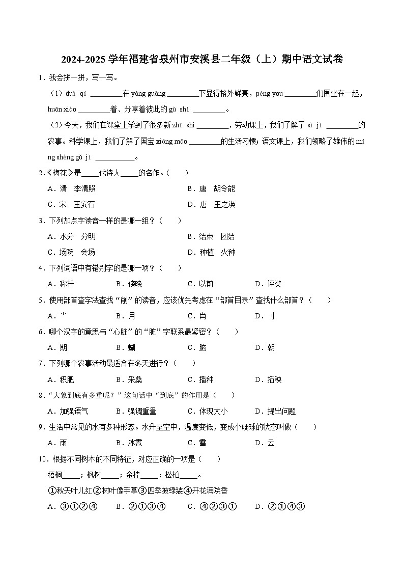 福建省泉州市安溪县2024-2025学年二年级上学期期中语文试卷第1页