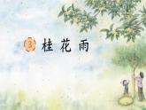 部编版小学语文五年级上册3 桂花雨课件