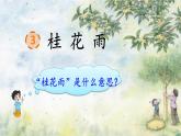 部编版小学语文五年级上册3 桂花雨课件