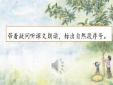 部编版小学语文五年级上册3 桂花雨课件