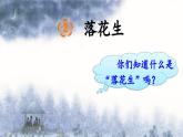 部编版小学语文五年级上册2 落花生课件