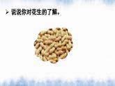 部编版小学语文五年级上册2 落花生课件