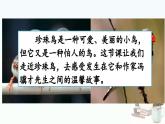 部编版小学语文五年级上册4 珍珠鸟课件