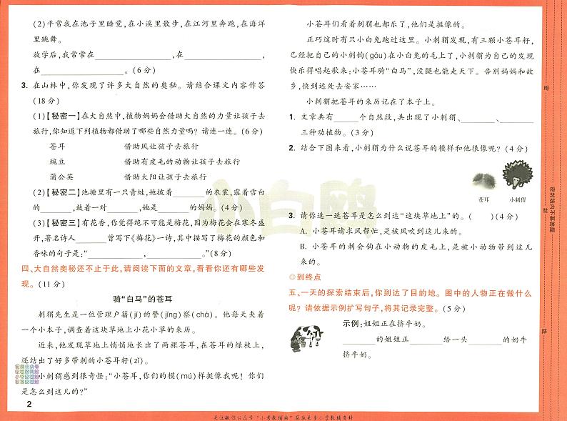 人教版二年级上册语文小白鸥情境题单元自测卷全套第3页