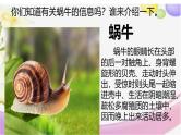 14，小蜗牛（第一课时）（课件）统编版语文一年级上册
