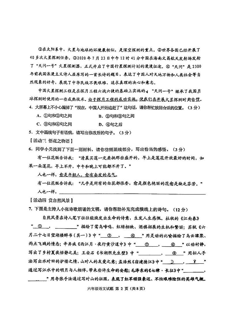 山东省淄博市淄川区2024-2025学年六年级上学期期中考试语文试卷02