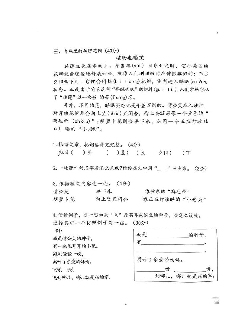 江苏省徐州市鼓楼区徐州市民主路小学2024～2025学年二年级上学期11月期中语文试题（PDF版 含答案）第3页