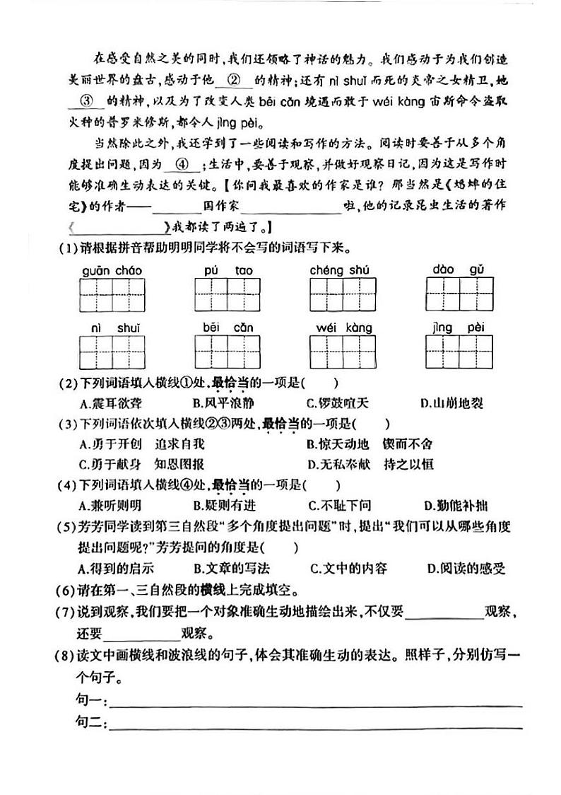 安徽省合肥市多校2024-2025学年四年级上学期期中语文试题02