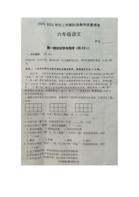 山东省临沂市兰山区多校2024-2025学年六年级上学期11月期中语文试题