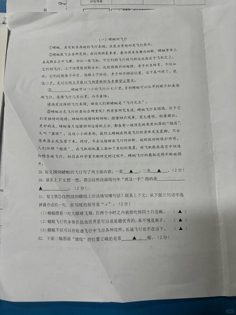 浙江省杭州市天元公学教育科技集团2024-2025学年四年级上学期期中语文试卷第3页