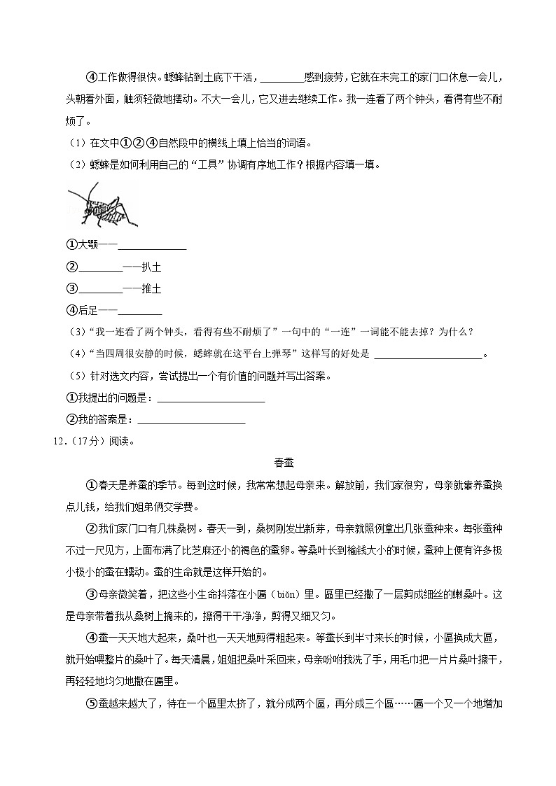 江苏省南京市江宁区2024-2025学年四年级上学期期中语文试题 (1)第3页
