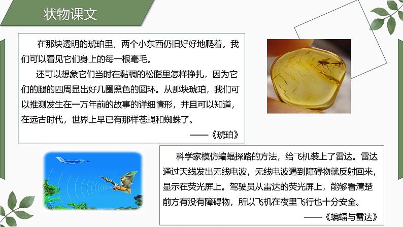 （统编版）小学语文小升初作文归类指导课件-状物类一07