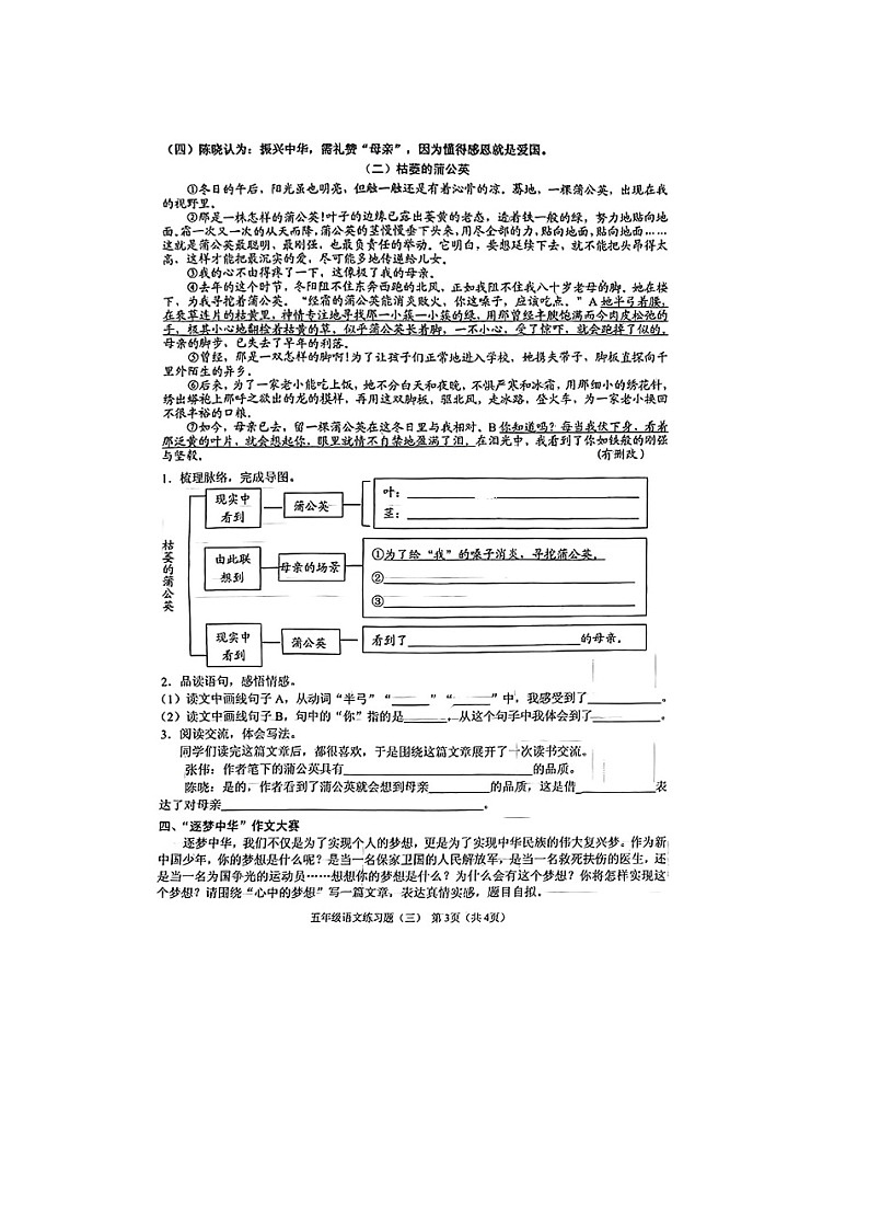 海南省海口市2024-2025学年五年级上学期期中综合练习（三）语文试题第3页
