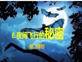 部编版四年级上册《夜间飞行的秘密》PPT