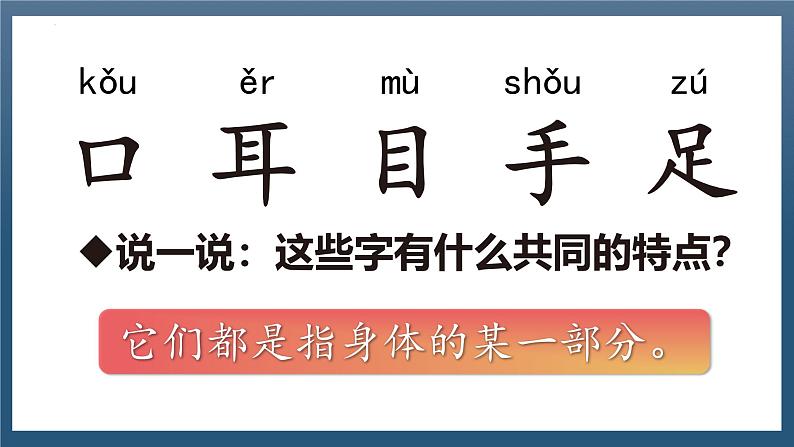 识字3 《口耳目手足》 -2024年秋统编版一年级语文上册课件第5页