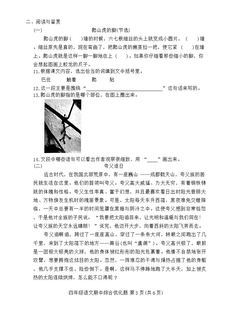 四年级语文第3页