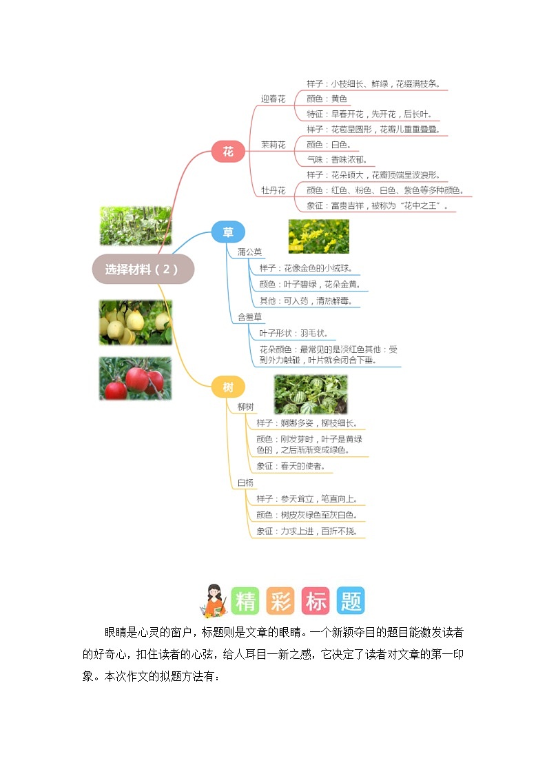 统编版小学语文三年级下册作文能力提升练习第一单元习作：我的植物朋友（素材积累）（含答案）第2页