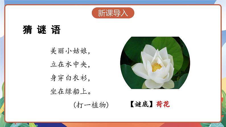 人教部编版语文三年级下册 第三课《荷花》第一课时 课件+教案+分层练习+学习任务单03