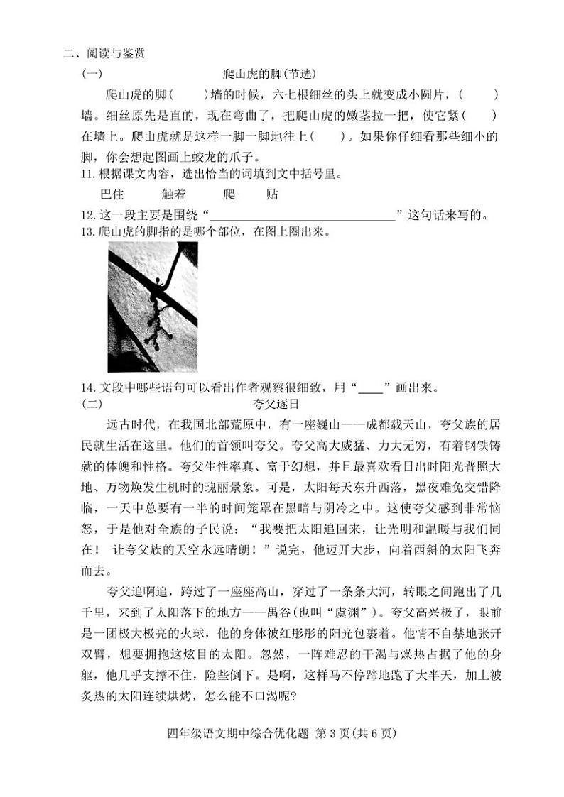 广东省茂名市电白区2024_2025学年四年级(上)期中语文试卷(含答案)第3页