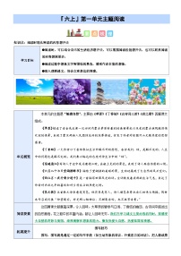 第一单元“触摸自然”（主题阅读）-2024-2025学年六年级语文上册阅读理解练习卷（统编版）